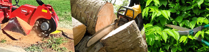 image-1355705-treeservices.jpg